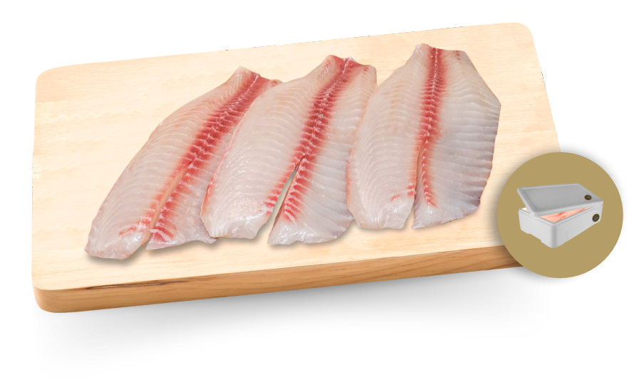 Fresh Tilapia Fillets