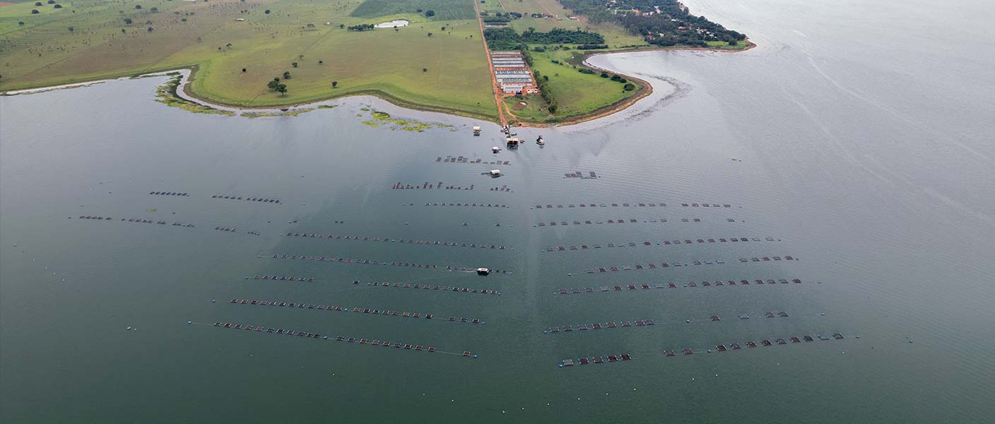 Sustainability and Traceability – Brazilian Fish Aquaculture